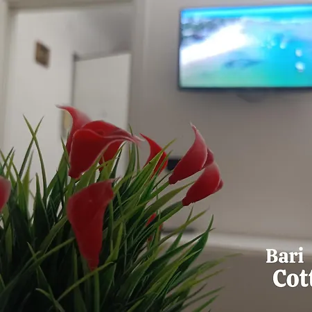 Bari Cottage 3* Μπάρι