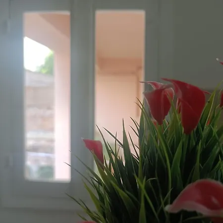 Bari Cottage Πανσιόν 3*