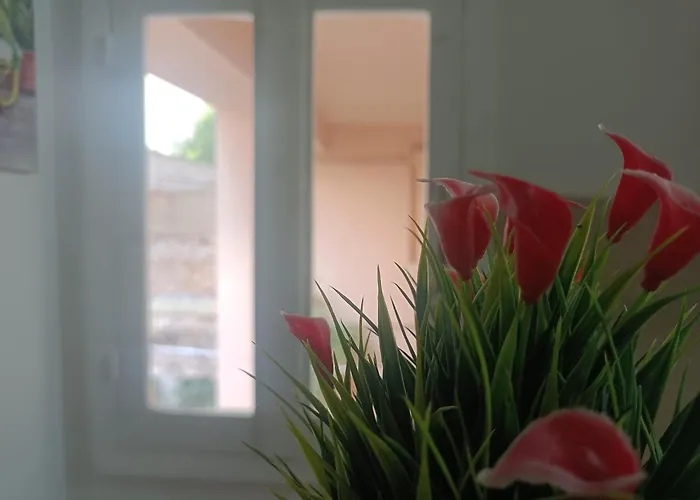 Bari Cottage Guest house 3*